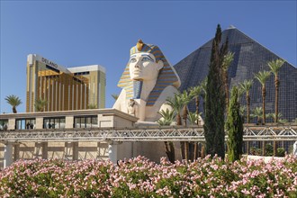 Hotel Delano and Sphinx at the entrance of the Luxor Hotel and Casino, Las Vegas, Nevada, USA, Las