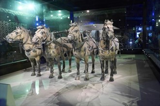 Terracotta horse and cart, Mausoleum of Qin Shihuangdi, Exhibition Hall, High Chariot, Xian,
