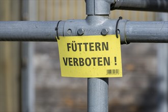 Information board on a railing, FUeTTERN VERBOTEN !, barrier fence, Baden, Wuerttemberg, Germany,