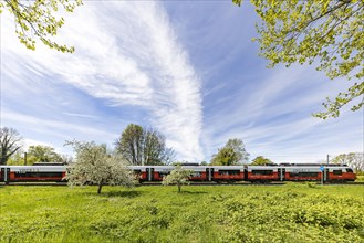 Siemens Desiro ML local train, Vorarlberg OeBB local transport fleet travelling in the border