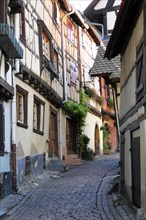 Eguisheim, Alsace, France, Europe, A picturesque street with traditional half-timbered houses and