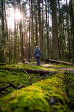 A person stands in a forest and looks at the light falling through the leaves of the trees, Calw,