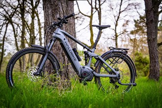 An e-bike leaning against a tree in a spring-like forest, spring, e-bike forest bike, Gechingen,