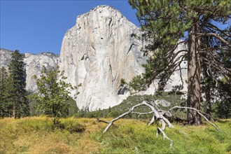 El Capitan, Vosemity Valley, Yosemite National Park, California, United States, USA, Yosemite