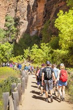 Hikers in Zion National Park, Colorado Plateau, Utah, USA, Zion National Park, Utah, USA, North