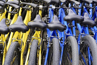 Rental bicycles, Xian, Shaanxi, China, Asia, Rows of yellow and blue bicycles at a public bicycle