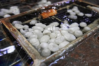 Silk factory Shanghai, White silk cocoons floating in a water basin in the silk production,