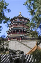 New Summer Palace, Beijing, China, Asia, The pagoda stands majestically, flanked by green trees and