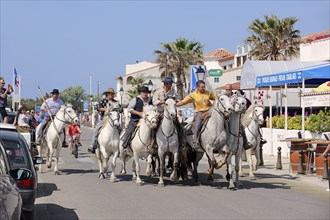 Riders on Camargue horses drive Camargue bulls through the streets of Les-Saintes-Maries-de-la-Mer