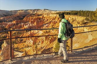 Tourist at Sunset Point, Bryce Canyon, Bryce Canyon National Park, Colorado Plateau, Utah, United