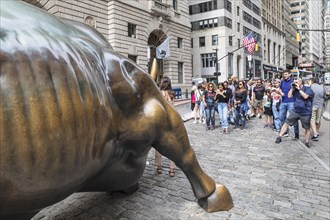 Tourists taking pictures in front of the bronze statue of the Charging Bull, Wall Street,
