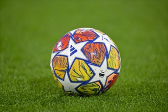 Adidas Champions League match ball on grass, Allianz Arena, Munich, Bavaria, Germany, Europe