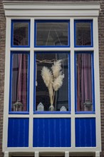 Decorated window, flowers, sparse, design, dutch, decoration, decorated, house, facade,