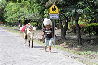 Ometepe Island, Nicaragua, A person carries loads next to a donkey on a sunny road near a road sign