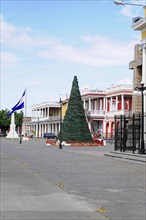 Granada, Nicaragua, Christmas tree in a public plaza with classical buildings and blue sky, Central