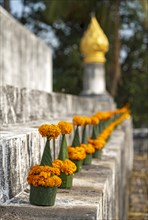 Orange-colored marigold flowers used to pay respect and homage to Buddha, Wat Wisunarat temple,
