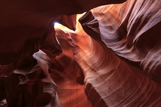 Light and shadow play on the curved, water-sculpted Convolvulus of a canyon, Upper Antelope Canyon,
