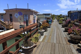 A wooden walkway leads along colourful floating houses surrounded by potted plants, San Francisco,