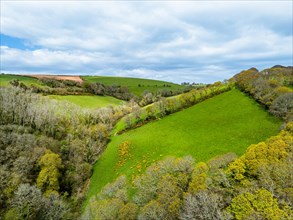 Forest, Farms and Farms over Long Wood and River Dart from a drone, Dartmouth, Kingswear, Devon,