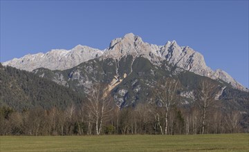 Panorama, mountains, birch, Pinzgau, saalfelden