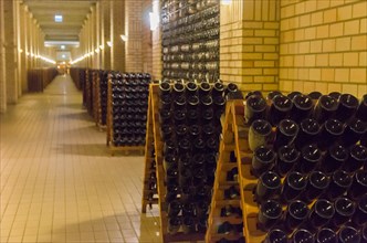 Bottles in the pupitres for the yeasts to accumulate in the neck of the bottle