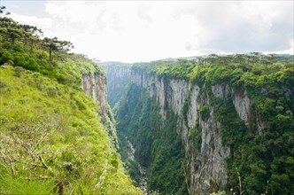 Beautiful landscape of Itaimbezinho Canyon and green rainforest, Cambara do Sul, Rio Grande do Sul,