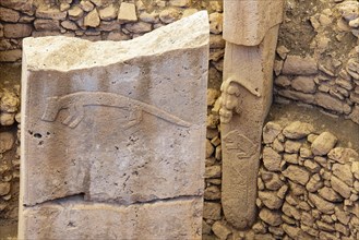 Gobekli Tepe neolithic archaeological site dating from 10 millennium BC, Massive stone pillars with