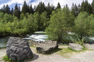 Illersprung, confluence of the Trettach, Breitach and Stillach rivers, between Oberstdorf and Fish,
