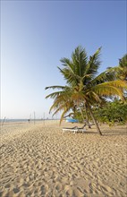 Evening atmosphere at Marari Beach, Mararikulam, Alappuzha district, Kerala, India, Asia