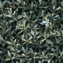 Seamless texture of olive tree branches and leaves AI generated