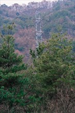 Winter landscape of electrical power line tower surrounded by trees on side of mountain in South
