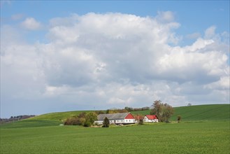 Farm under clouds and surrounded by green fields in Skurup municipality, Scania, Sweden,