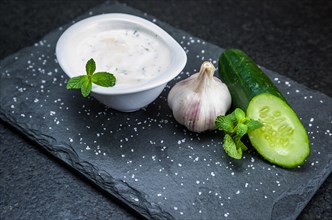 Delicious Lebanese (Arabic) food, Tzatziki sauce, produced with garlic, cucumber, mint and labneh