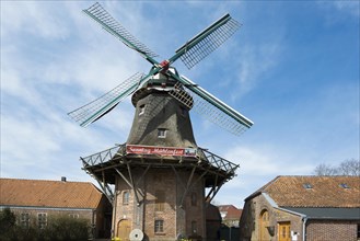 Historic windmill, slaughter mill, two-storey gallery windmill with wind rose, Jever, East Frisia,