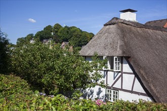 Old thatched half-timbered house in the Treppenviertel, residential building, Blankenese district,