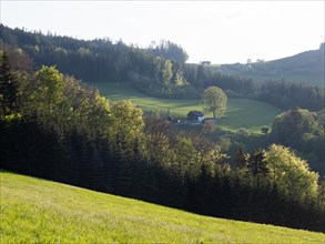 Farmhouse, meadows and forest, Leoben, Styria, Austria, Europe