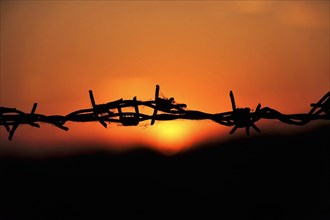 Barbed wire, threatening, sunset, Germany, Europe