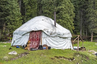 Yurt, Terskey Ala Too, Kyrgyzstan, Asia