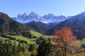 Snow-covered mountains behind autumnal forests and meadows under a clear blue sky, Italy,