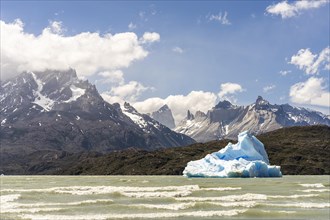 Iceberg on Lago Grey, Torres de Paine, Magallanes and Chilean Antarctica, Chile, South America