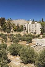 Cemetery with olive trees at the foot of the fortified stone wall of the Old City of Jerusalem,