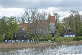 Church, thatched roof houses, trees, Sieseby, Schlei, Schleswig-Holstein, Germany, Europe