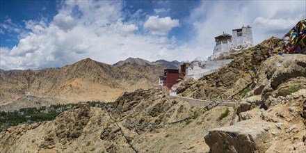 Namgyal Tsemo Gompa Monastery, Tsenmo Hills, Leh, Ladakh, Jammu and Kashmir, India, Asia