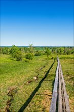 Walking path in wood on a wet meadow in a nature reserve with a beautiful landscape view,