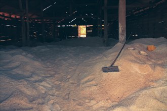 Mounds of harvested salt inside a spacious, dimly lit wooden and run down storage house, a