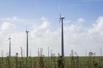 Windmills during bright summer day with blue sky, clean and renewable energy concept