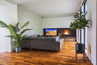 Grey leather L-shaped sectional sofa and wood-burning fireplace in living room with acacia wood