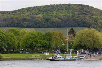 Rhine ferry Mondorf between Bonn and Koenigswinter, North Rhine-Westphalia, Germany, Europe