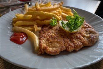 Wiener Schnitzel with French fries served in a pub, Franconia, Bavaria, Germany, Europe