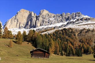 Log cabin in a meadow in front of snow-covered mountain peaks in autumn, Italy, Alto Adige, Bolzano